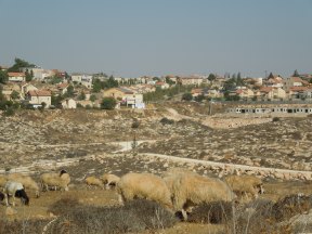 Otniel Settlement. New houses are being built in the foreground. Photo EAPPI/B. Rubenson.